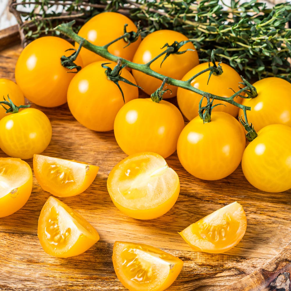Tomato 'Magnusa'