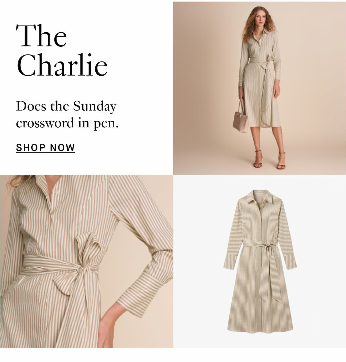 The Charlie Shirt Dress