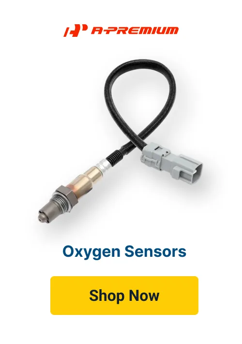 Oxygen Sensors