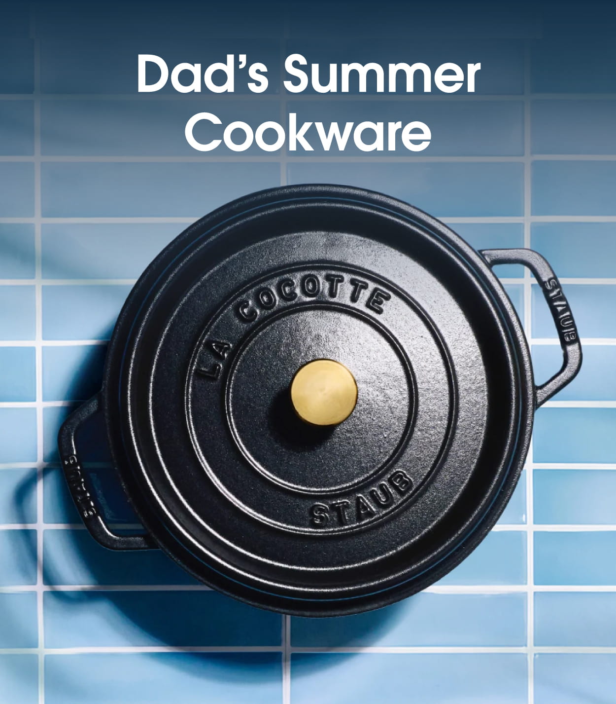 Summer Cookware for Dad