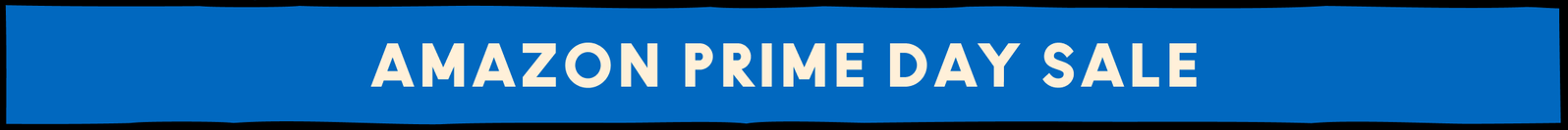 Amazon Prime Day Sale