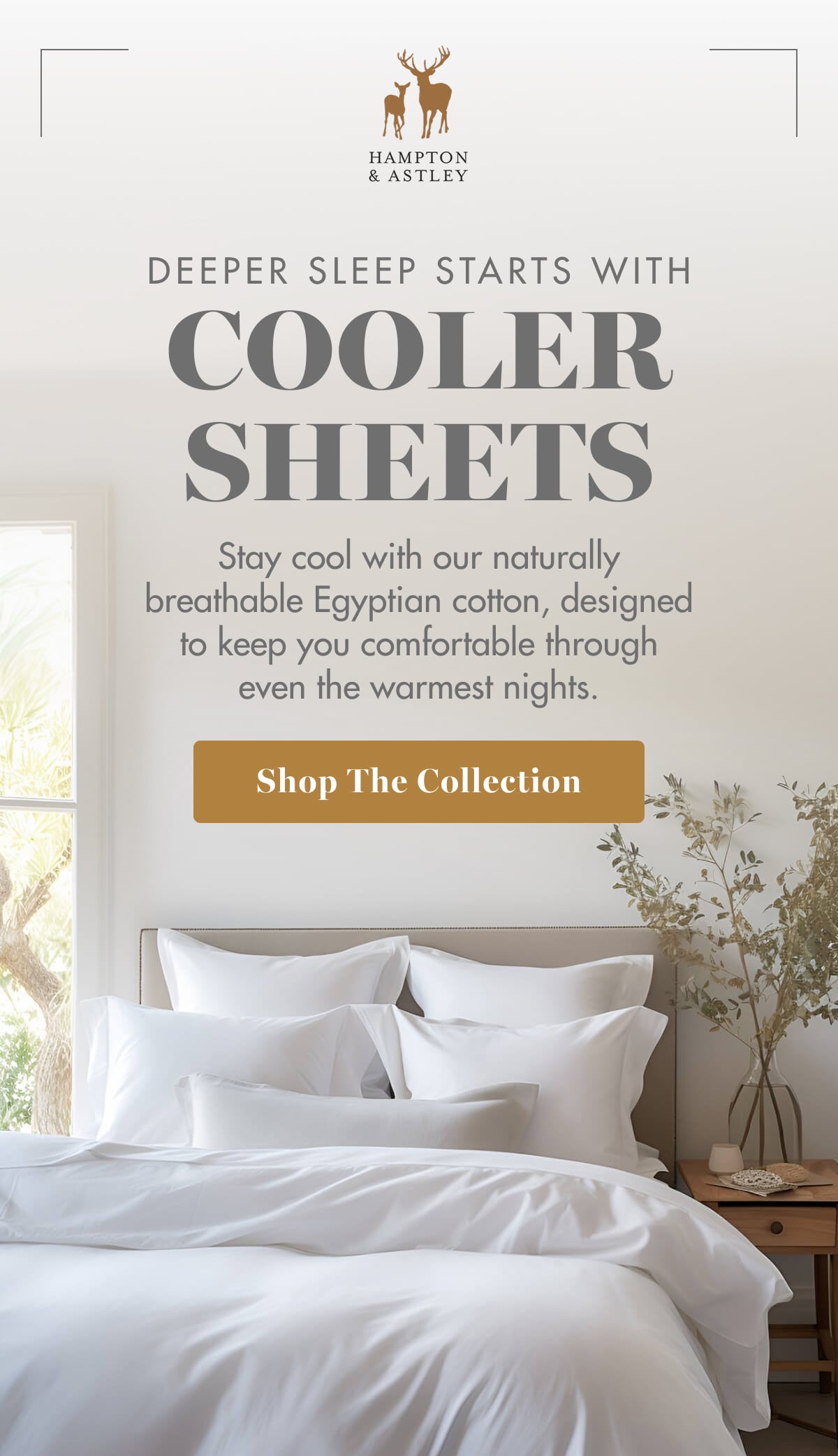 Shop The Collection