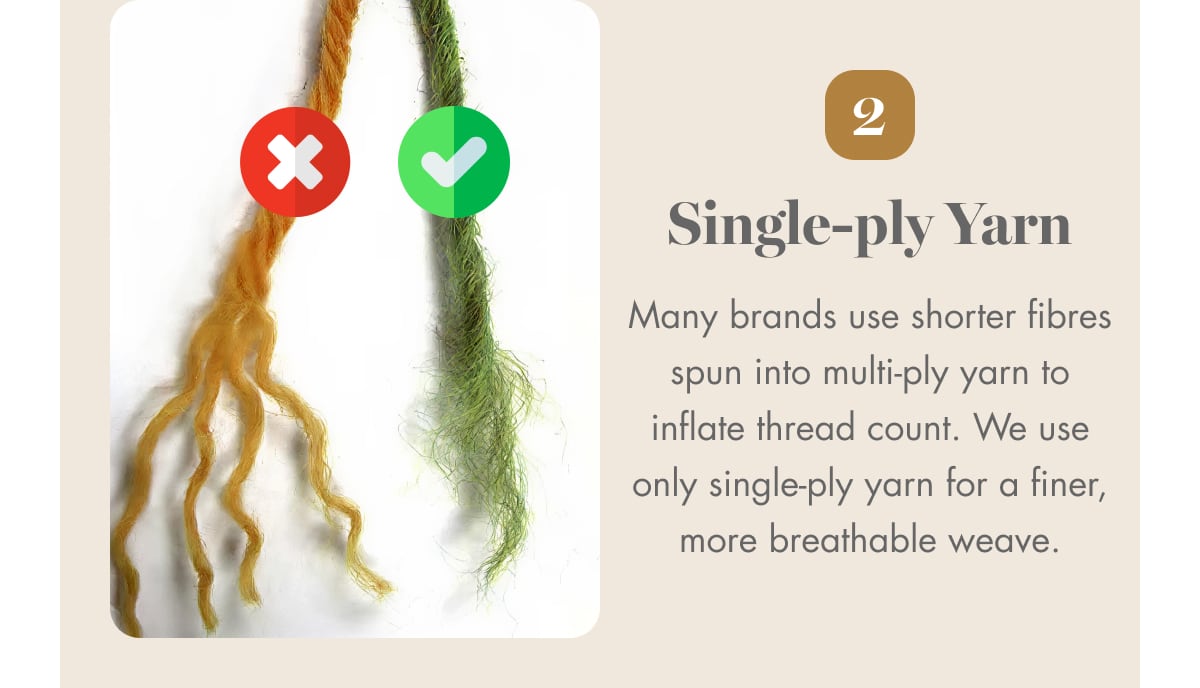 Single-ply Yarn