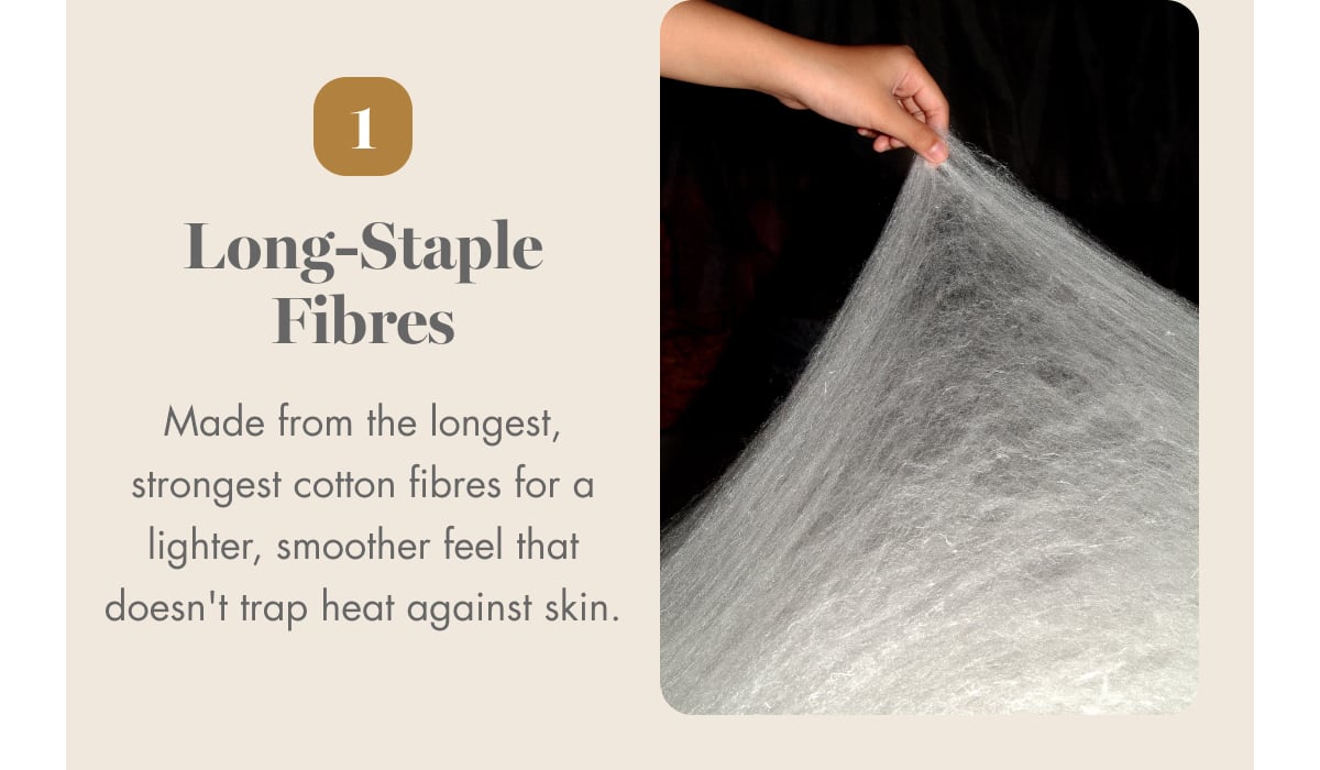 Long-Staple Fibres