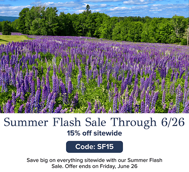 Summer of Savings: 15% off Everything