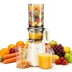 Cold Press Slow Juicer Machine 12cm Large Feed Chute Whole Fruit Masticating Vegetable Processor Easy Clean Juice Extractor Slower Sorbet Maker 200W