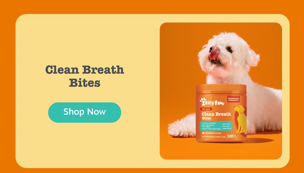 Clean Breath Bites: Shop Now