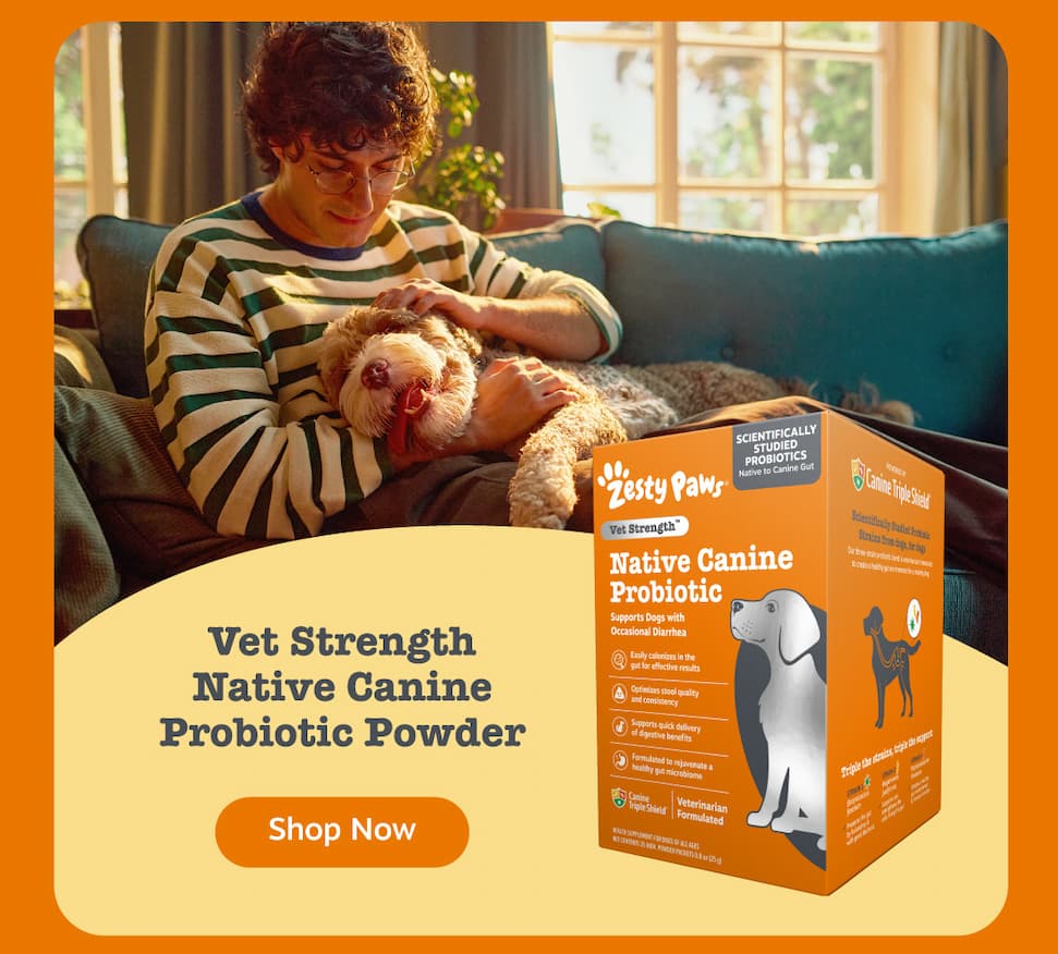 Vet Strength Native Canine Probiotic Powder: Shop Now