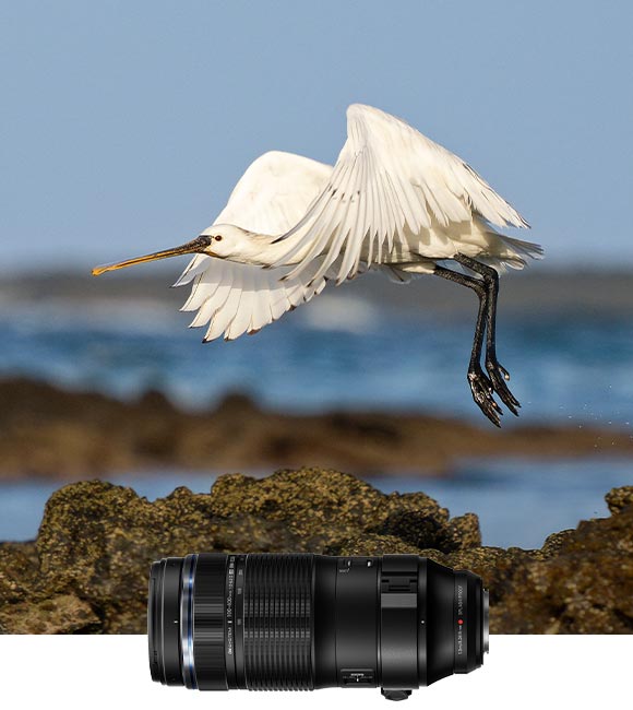 100-400mm II