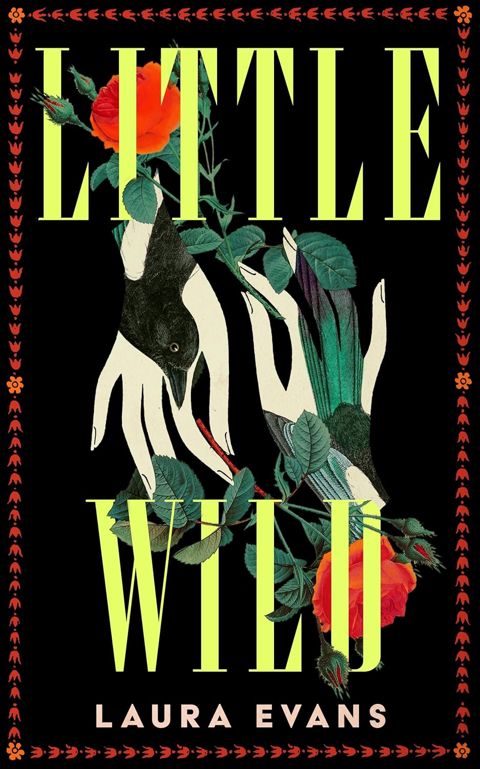 Little Wild by Laura Evans