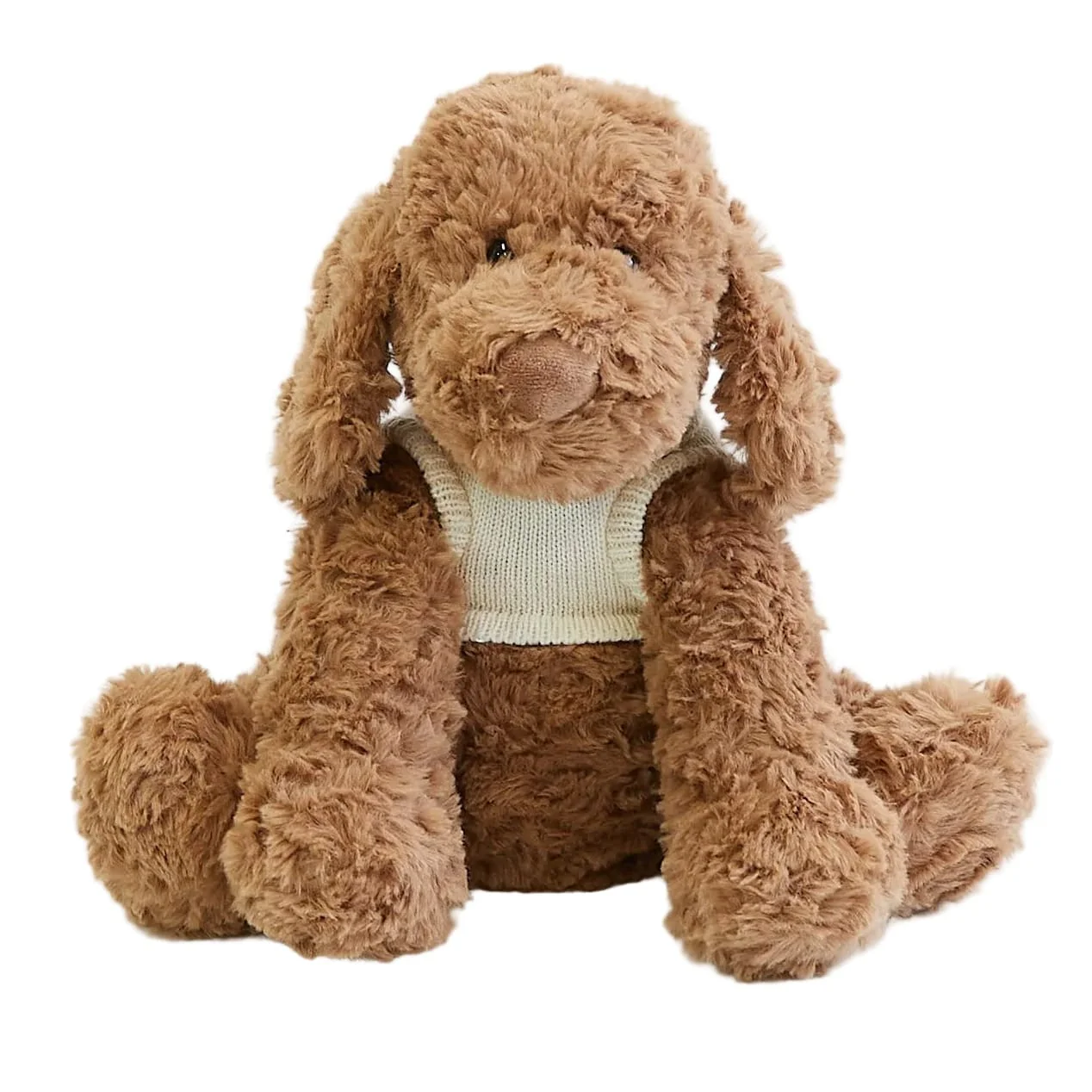 Image of Cookie the Cavoodle
