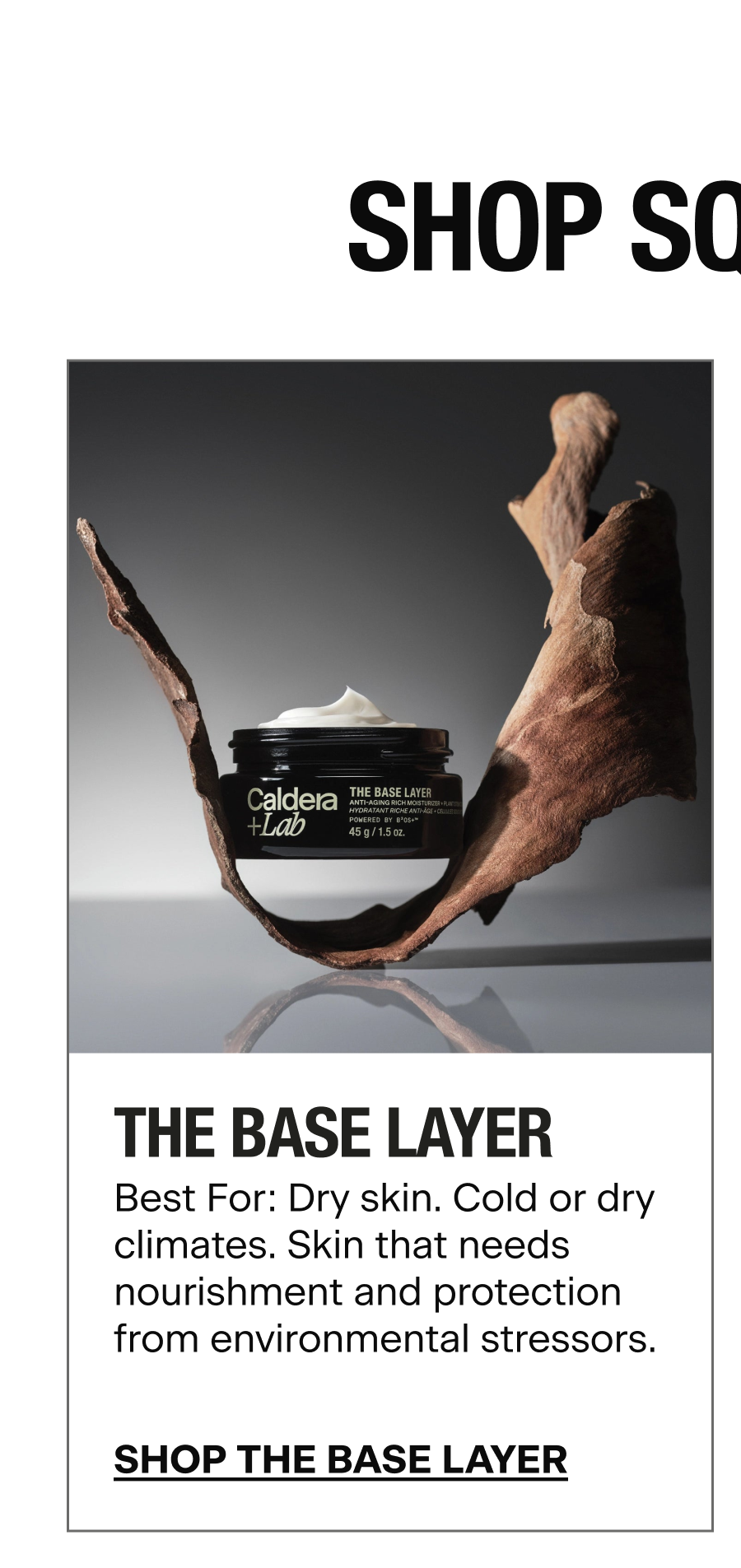 THE BASE LAYER