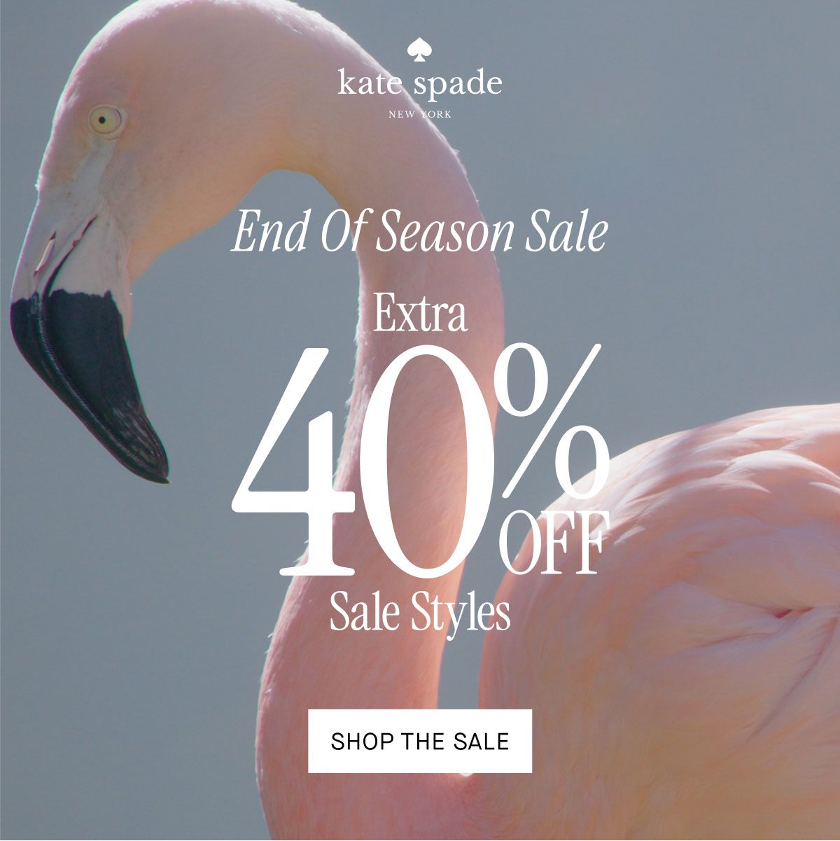 End of Season Sale