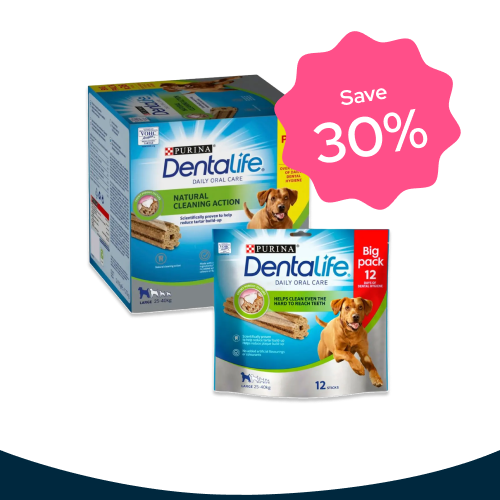 Dentalife
