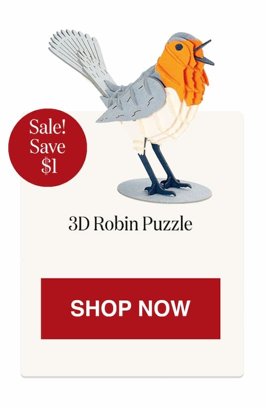 3D Robin Puzzle [Click here to Shop Now]