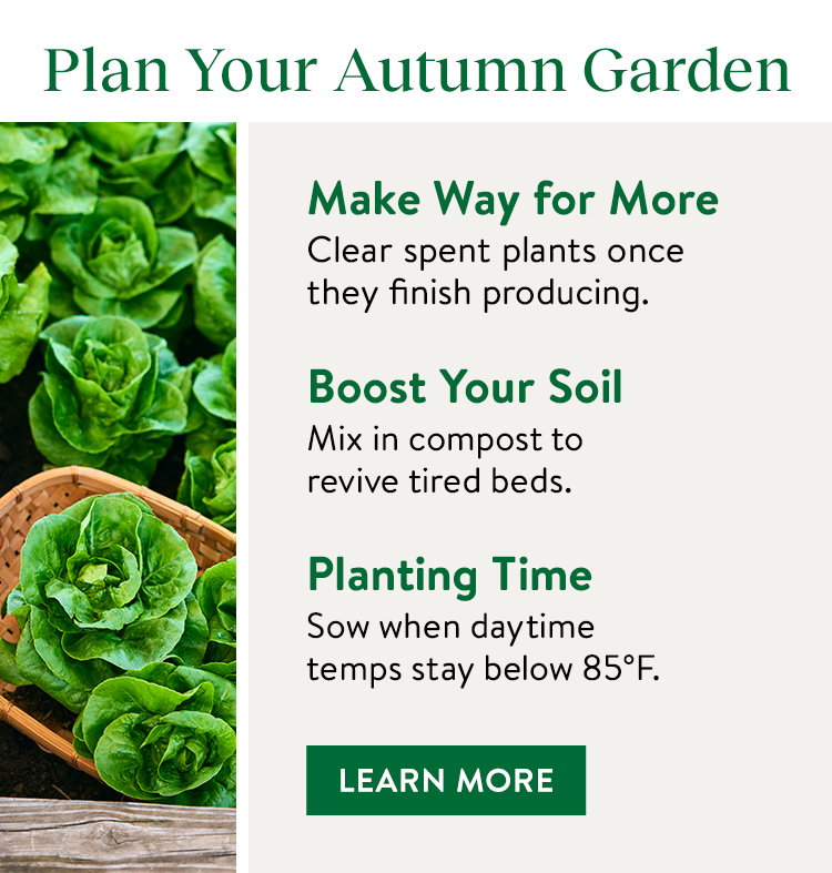 Grow Again Fall Harvest