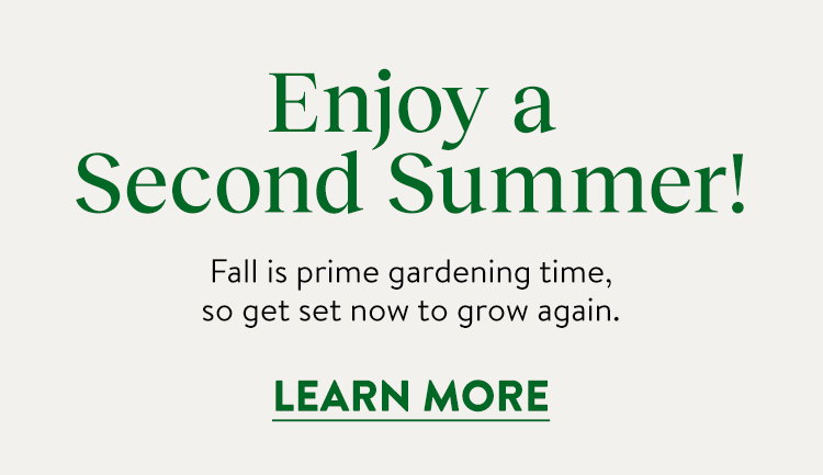 Grow Again Fall Harvest
