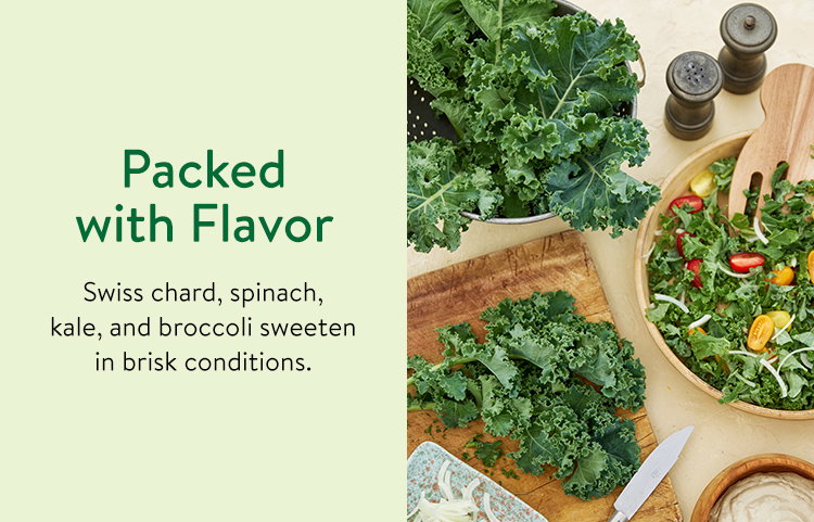 Fall Harvest Vegetables