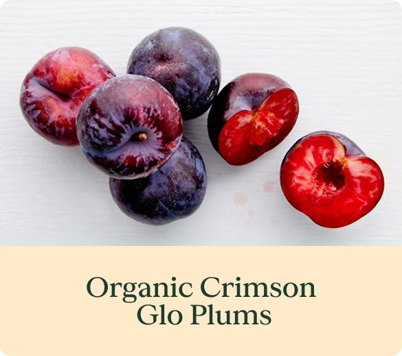 Organic Crimson Glo Plums