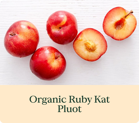 Organic Ruby Kat Pluots