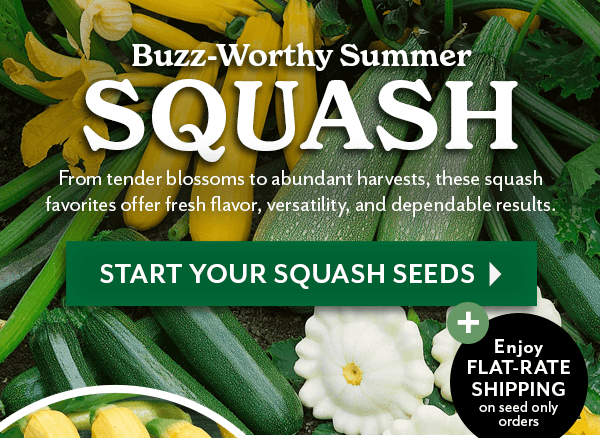 Discover More Flavor with SQUASH