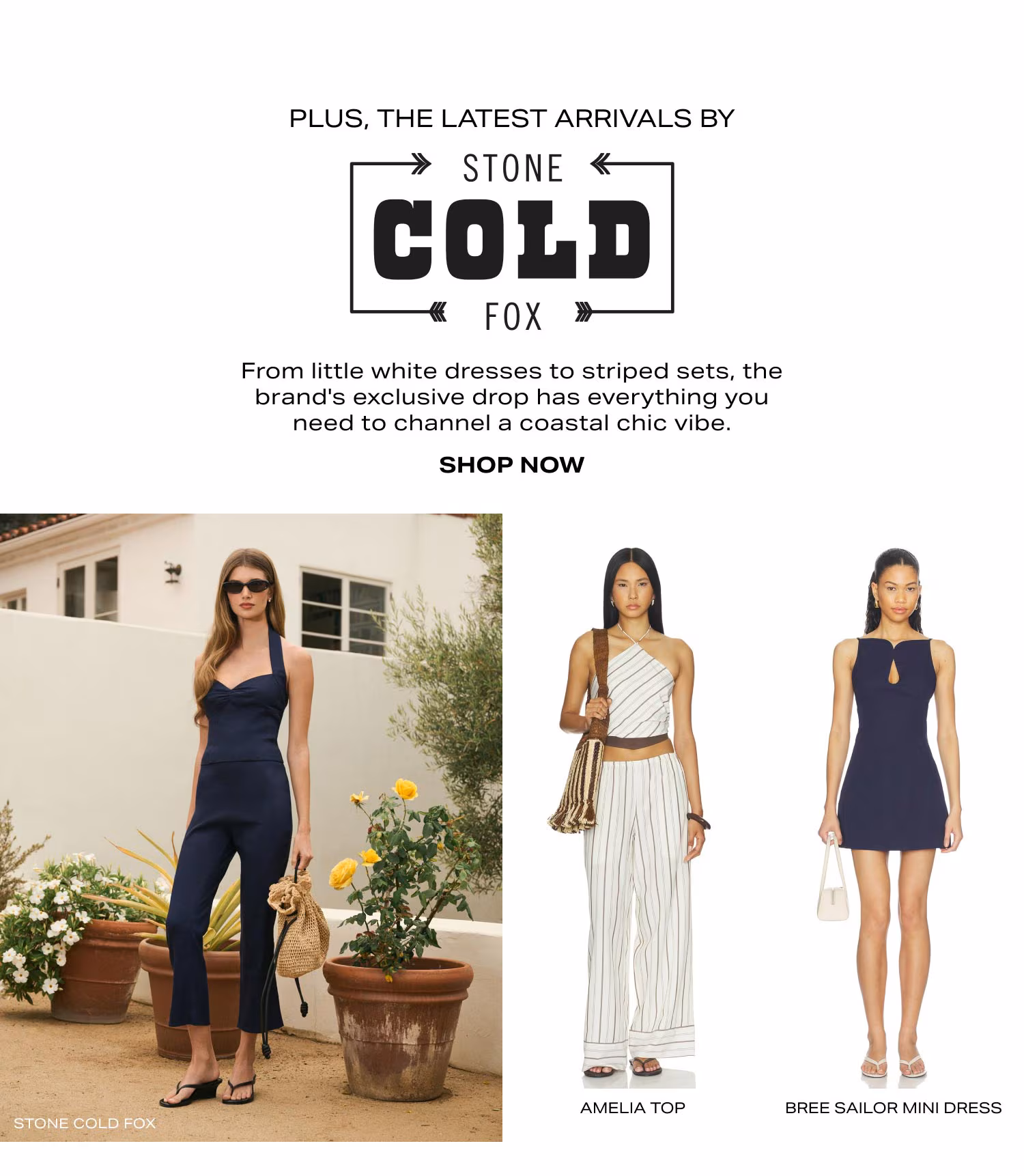 Shop Stone Cold Fox
