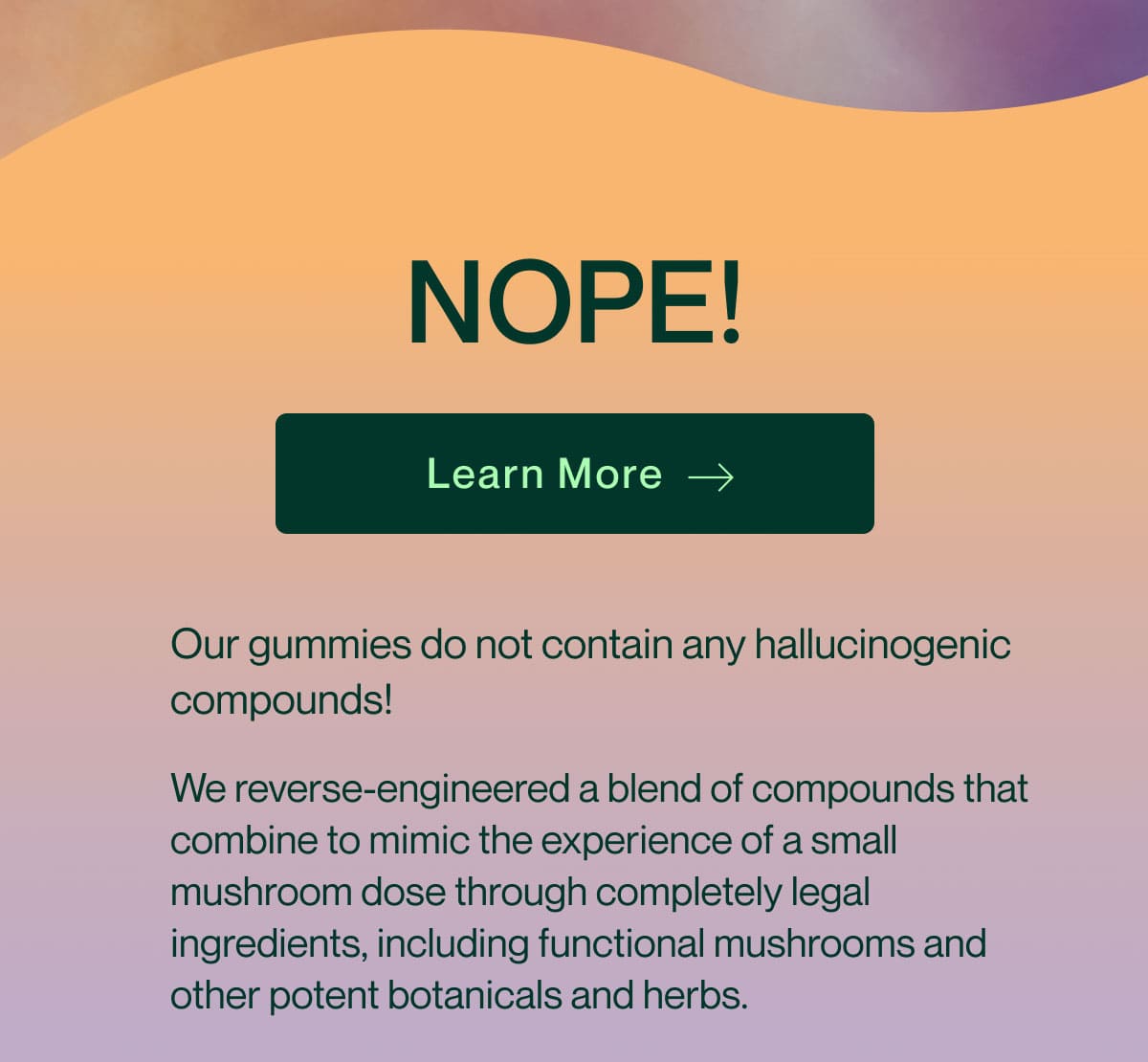 LEARN MORE