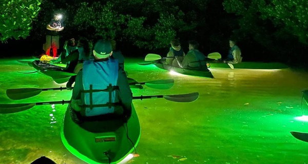 Glass Bottom Kayak LED Night Tour Deal - 75-Minute Fish Feeding Discount