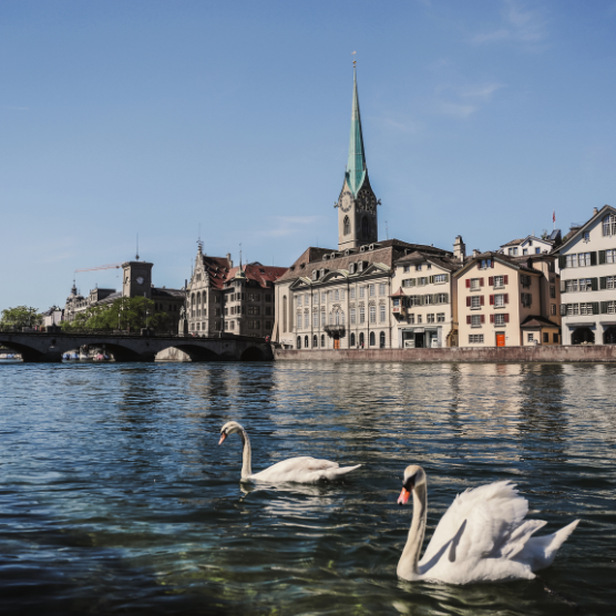 Find flights to Zurich