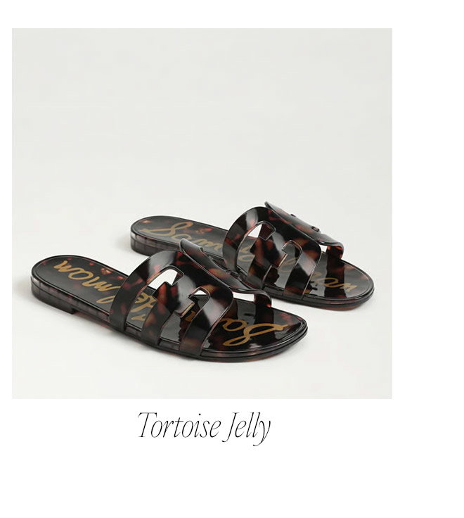 Tortoise Jelly