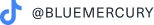 bluemercury - tiktok