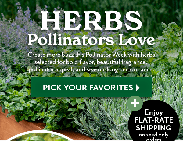 SHOP HERBS