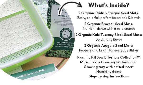 Year-Round Greens UNLOCKED - buy the microgreen kit