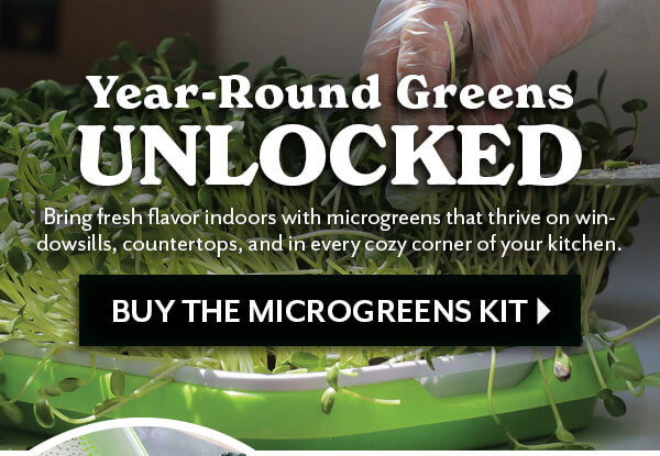 Year-Round Greens UNLOCKED - buy the microgreen kit