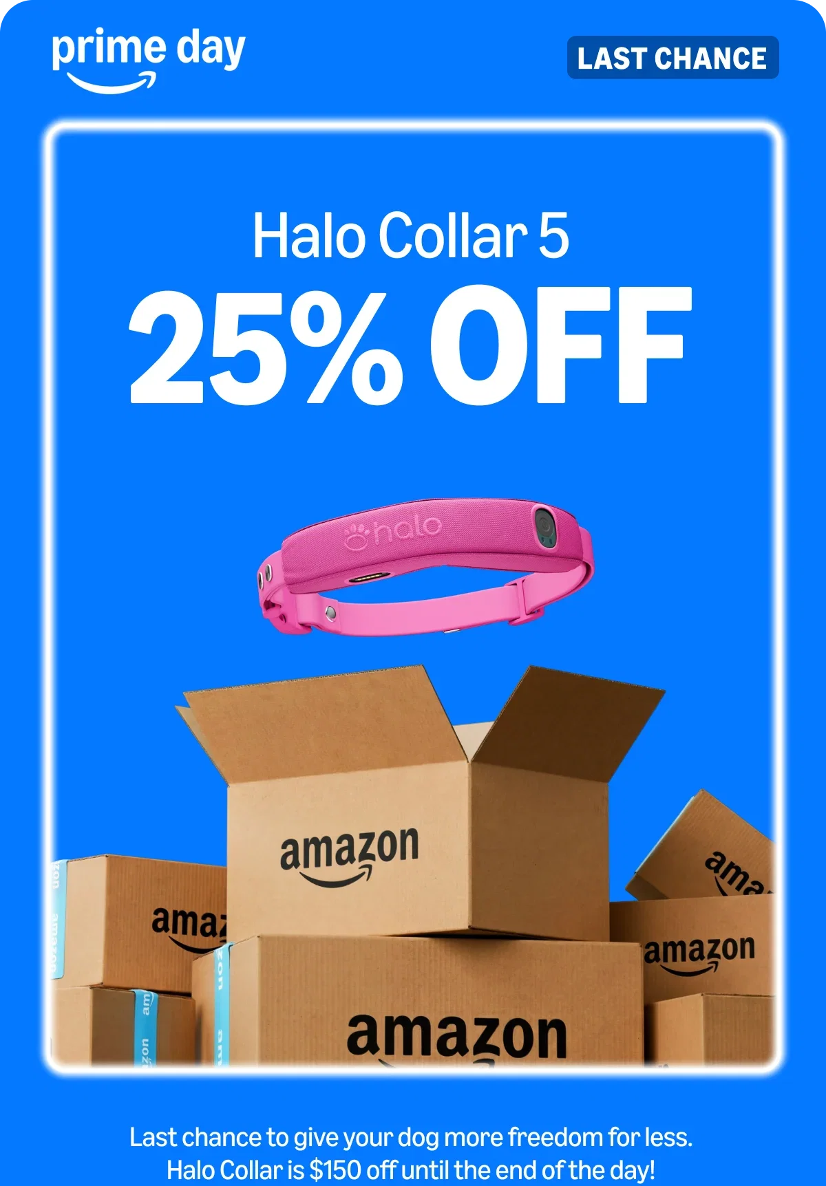 The Prime Day Sale is almost over. Halo Collar 5 is only $445 and this is your last chance to lock in our lowest price of the year. Don't let it slip away.