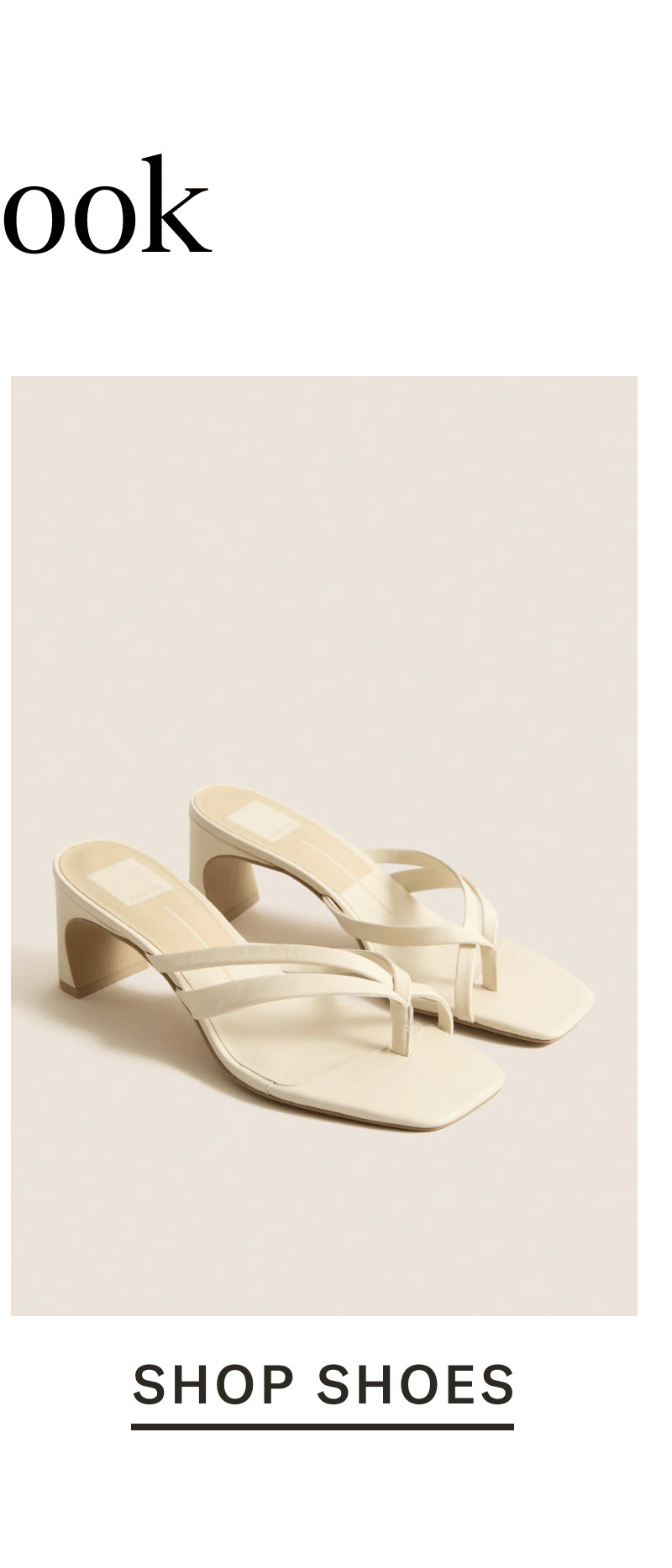 Shoe Shoes