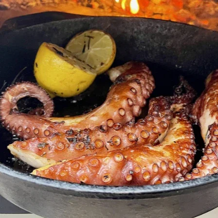 Image of Octopus