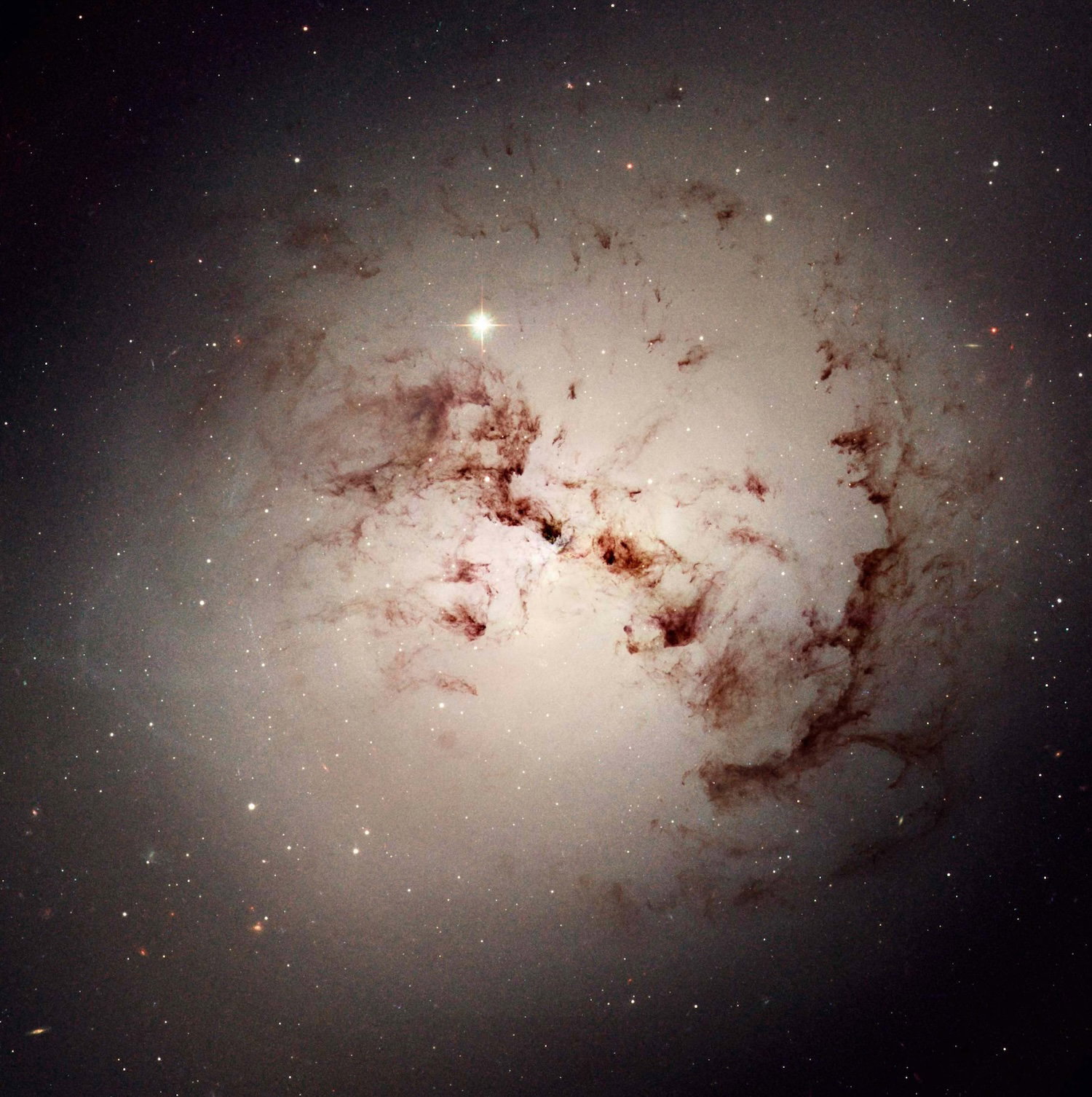 NGC1316_2400x3000 image