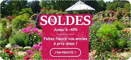 Les soldes d’été commencent jusqu’à -40% de remise !