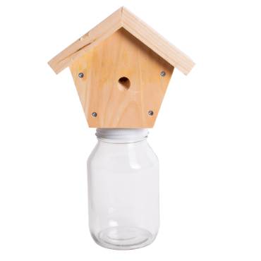 Image of Outdoor Carpenter Bee Trap