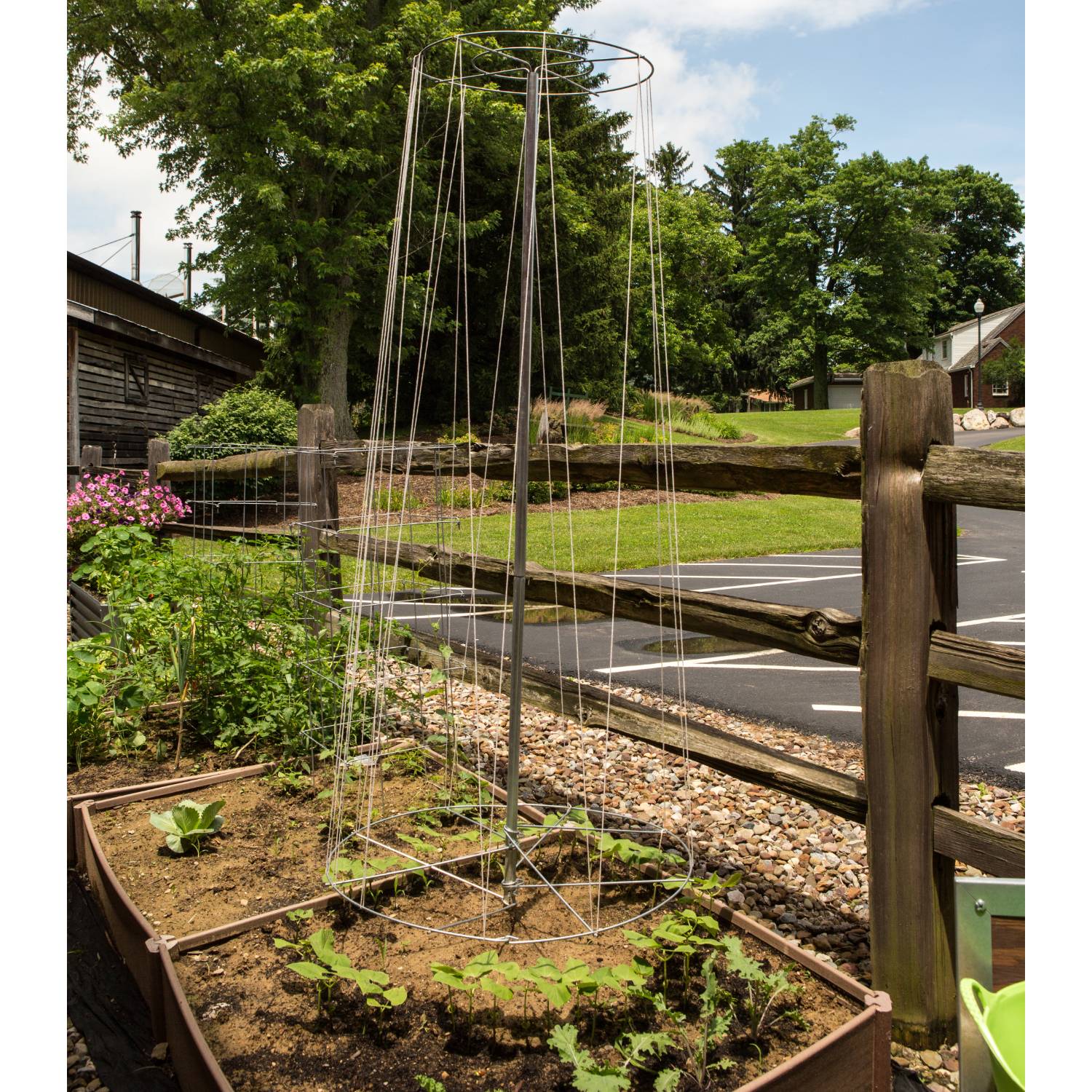 Image of Bean Tower Trellis
