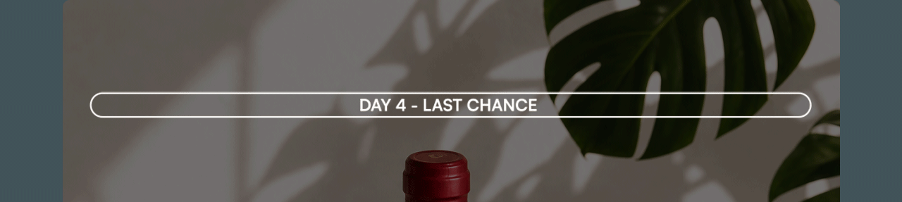Day 4 - Last chance