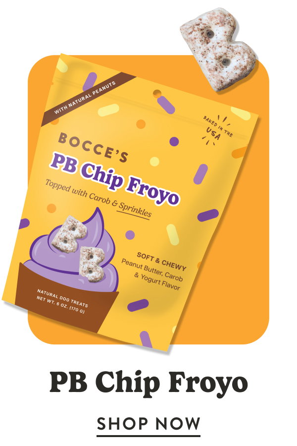 Shop PB Chip Froyo