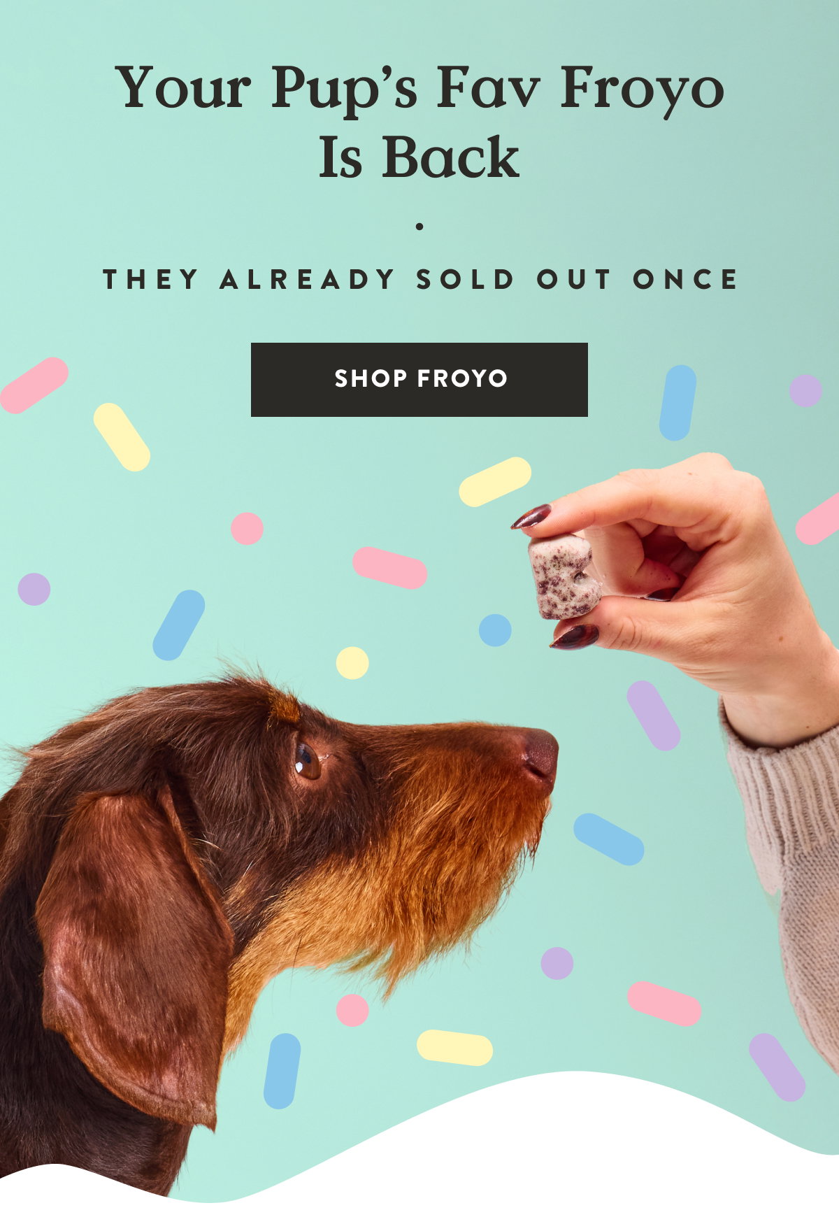 Shop Froyo