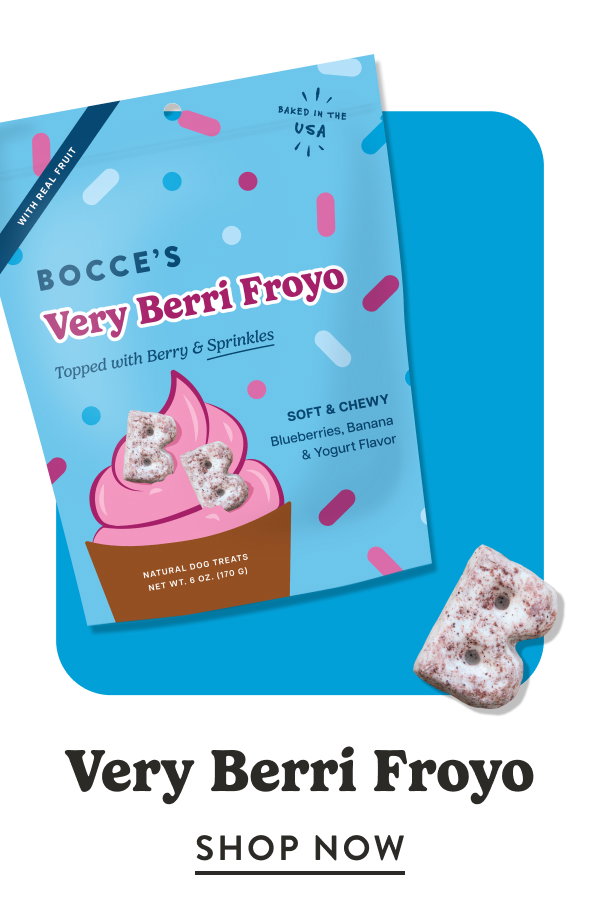 Shop Very Berri Froyo