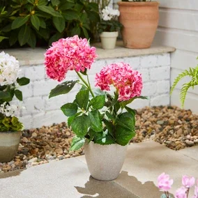 Artificial Hydrangea in Plant Pot