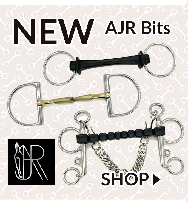 New AJR Bits