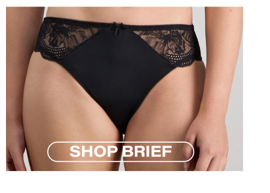 Aria High Cut Brief