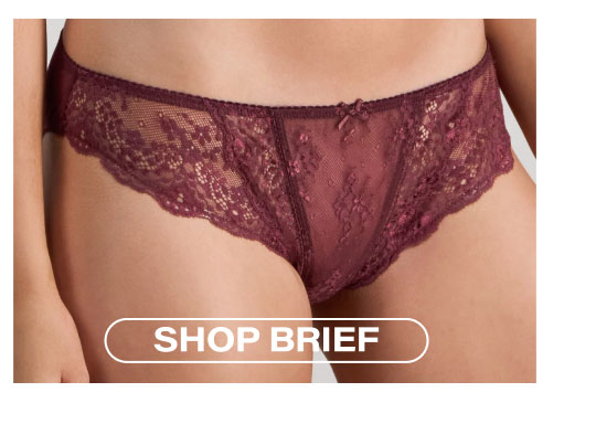 Sofia Bikini Brief