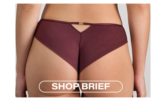 Sheer Impact Brazilian Brief